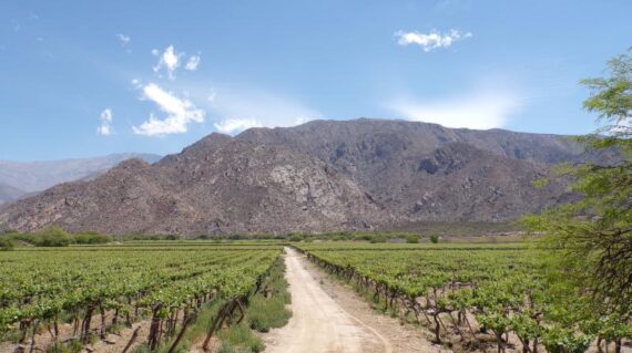 Argentina Norte Salta