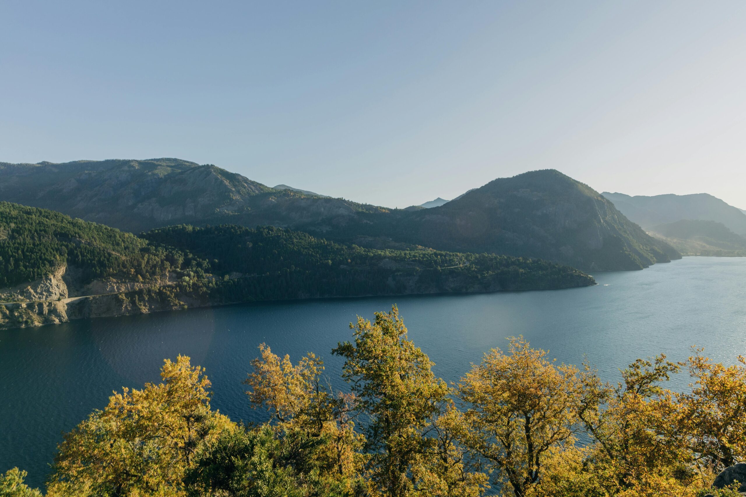 pexels-ton-souza-4613340